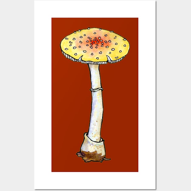 Fly Agaric Wall Art by ThisIsNotAnImageOfLoss